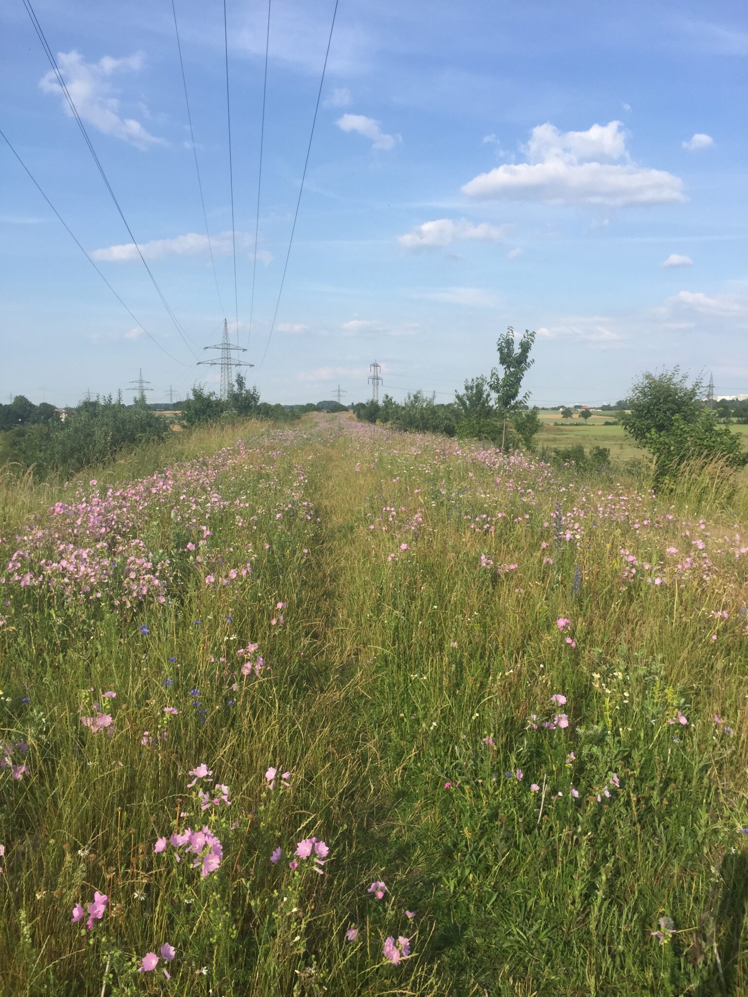 Willkommen beim Naturschutzverband Niedersachsen e.V ...